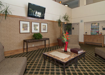 H I Express & Suites San Antonio Medical-Six Flags エクステリア 写真